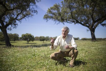 José Mira Potes, profesor de la escuela superior agraria de Santarém y autor del libro 'Un montado no Portugal Mediterránico'.