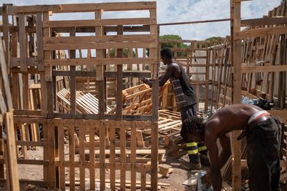 Abu Bakr, de Mali y Suso, de Gambia, construyen su tercera chabola en el asentamiento de Palos de la Frontera. 