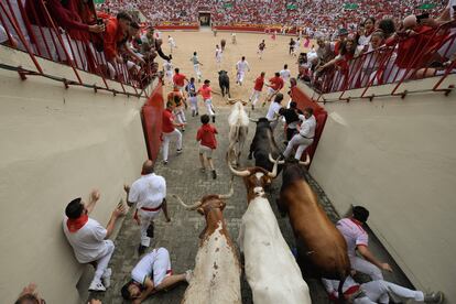 Los toros de la ganadería La Palmosilla entran en la plaza de toros de Pamplona.
