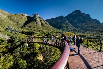 Lo que distingue al de <a href="http://www.sanbi.org/gardens/kirstenbosch" target="_blank">Kirstenbosch</a> de otros jardines botánicos es su ubicación al pie de Table Mountain y su colección de plantas, casi todas endémicas. Está considerado uno de los grandes botánicos del mundo y fue el primero que se concentró en la flora autóctona de un país. Hoy en día alberga más de 7.000 especies, tanto al aire libre como en invernaderos, y es famoso por sus exposiciones de ericáceas y proteáceas. Además, tiene una muestra permanente de esculturas de piedra de estilo zimbabuense. Y para disfrutar de la naturaleza en estado salvaje, numerosos senderos rodean y ascienden a la famosa montaña.