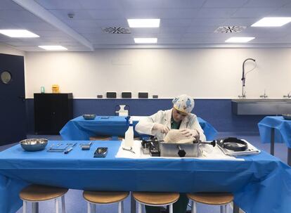 Una investigadora disecciona un cráneo en la Facultad de Medina de la Complutense.