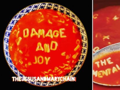 Portada del último disco de The Jesus and Mary Chain(2017) y The Mentalettes (2014)