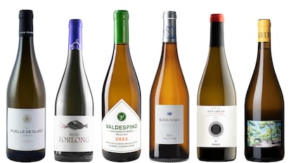 Vino de pasto
