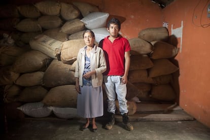 Consuelo Chávez y su nieto Jaime, supervivientes del alud que sepultó a La Pintada, en Guerrero (sureste de México). Posan en la bodega de su casa de El Paraíso, donde la familia guarda el café que cultivan.