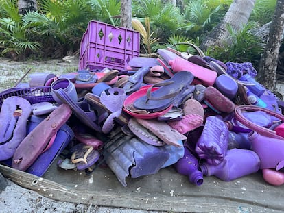 Basura turística recolectada en las playas de Tulum.