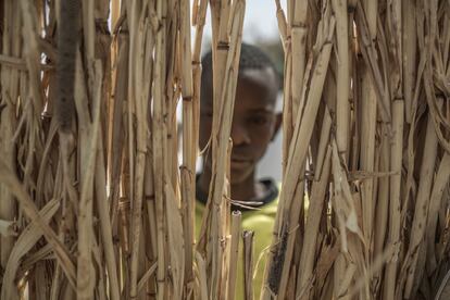 Sheibu Musa, de 16 años, fue reclutado a la fuerza por Boko Haram y obligado a enseñar a leer el Corán a niños menores que él.