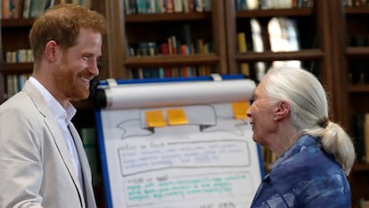 Enrique de Inglaterra y Jane Goodall, en Windsor en julio de 2019.