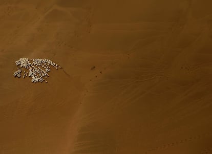 Lo rodean las montañas de Altái y las estepas de Mongolia, por el norte; la meseta del Tíbet, por el suroeste; y la llanura del Norte de China, por el sureste. En la imagen, un rebaño de ovejas en el desierto de Gobi, Mongolia.