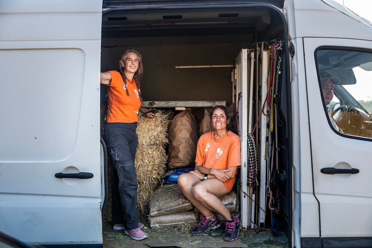Los vecinos que tratan de volver al fuego en el Valle del Tiétar: “Tenemos que pasar, los voluntarios necesitan relevo”