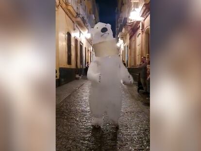 Una asociación de vecinos de Cádiz ha recuperado al oso polar y lo ha incorporado a su cabalgata con un collarín.