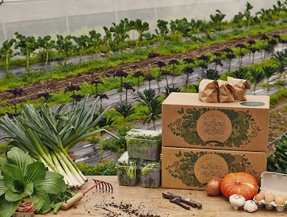 Guillermo y Ana han montado su propia empresa de agricultura ecológica.