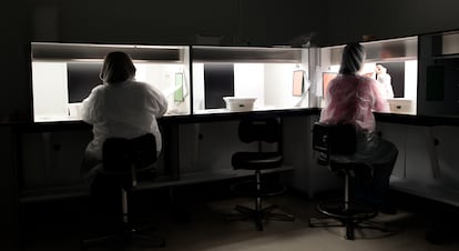 Dos empleadas trabajando en los laboratorios Rovi de Madrid.