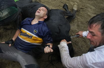 Un vecino de Sabucedo corta la crin a uno de los caballos mientras otro yace exhausto encima del animal.