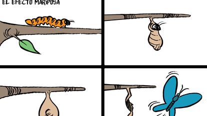 El efecto mariposa, por Malagón
