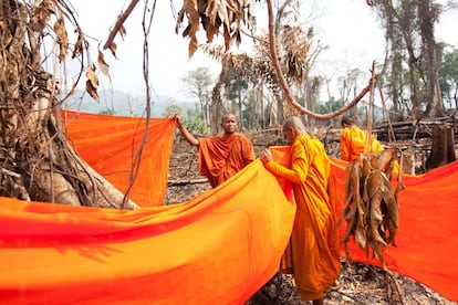 ‘Envolviendo al árbol superviviente’, de Luke Duggleby, ganador del premio de la Comisión Forestal de Inglaterra. Un grupo de monjes budistas de Camboya bendice uno de los árboles supervivientes en una zona destruida para dar paso a una plantación de bananas.