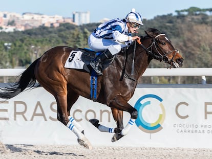 Julia Zambudio, durante una carrera en el hipódromo de La Zarzuela de Madrid.