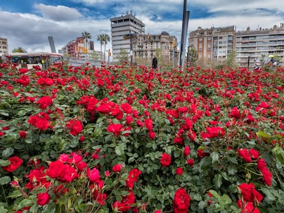 Jardines de la plaza Lesseps de Barcelona, donde las rosas han crecido sin cuidados desde el inicio del confinamiento por el Coronavirus