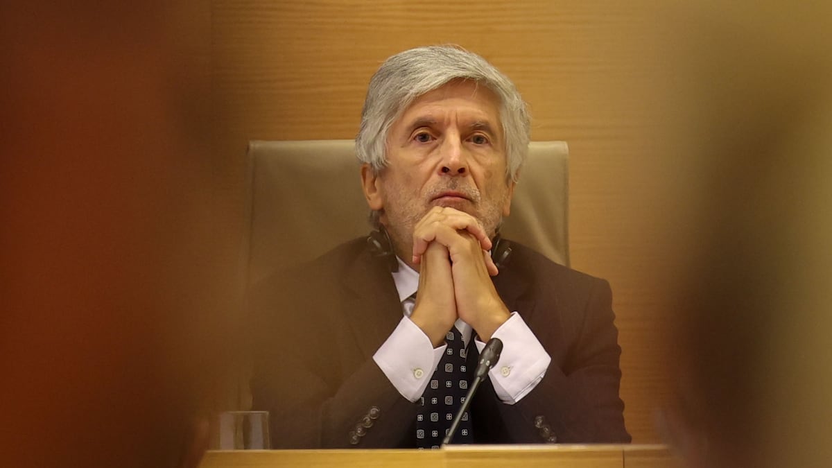 elpais.com