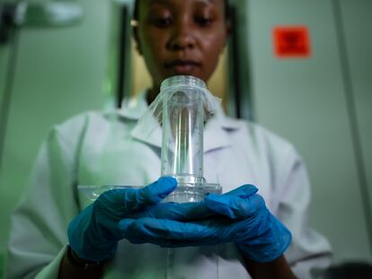 Una científica keniana investiga el vector de la leishmaniasis.