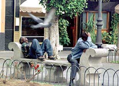 Inmigrantes subsaharianos descansan en el parque de Santa Catalina, en el centro de Las Palmas.