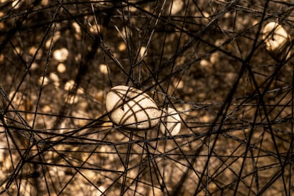 Detalle de las piedras y los hilos creados por Chiharu Shiota para la Fundación Sorigué de Balaguer, Lleida.