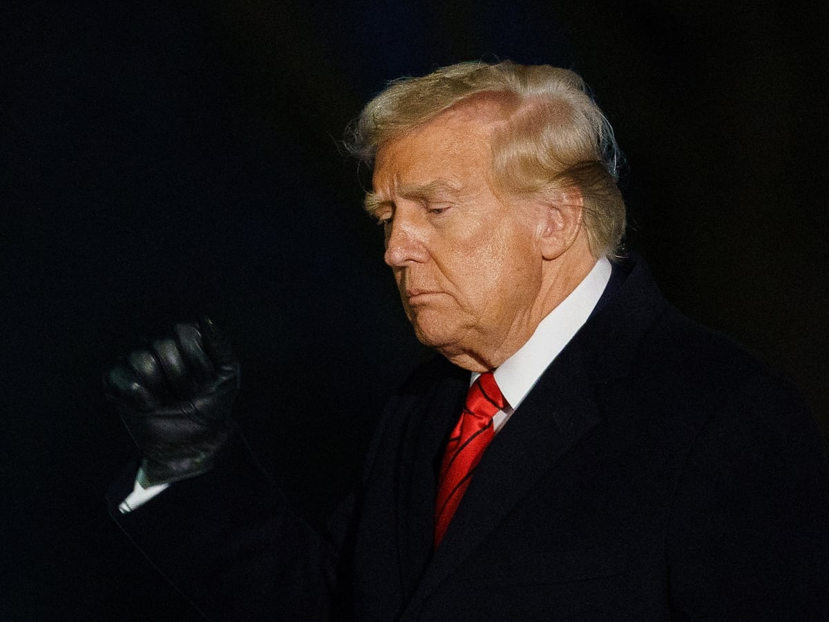パパイヤは動詞です（トランプの反応について）