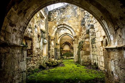 Vista de una de las naves de la iglesia del monasterio, sin bóveda y con la vegetación cubriendo su suelo.