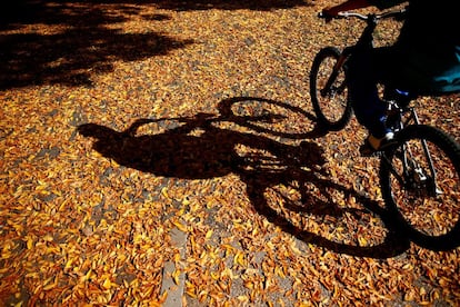 Un hombre pasea con su bici en un día otoñal en un parque de Zenica, Bosnia.