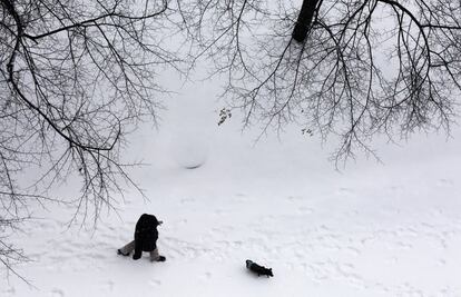 Um homem passeia com seu cão pela margem do rio Chicago, completamente coberto de neve devido ao temporal que castiga os Estados Unidos.