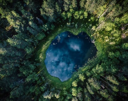 Bosque y lago en Savonlinna, Finlandia.