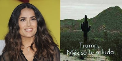 Con algo más de humor, Salma Hayek ha mandado a paseo a Donald Trump con una simple fotografía publicada en su cuenta de Instagram. Sus 2,1 millones de seguidores han visto la imagen de un gran cactus en forma de peineta con el siguiente mensaje: “Trump, México te saluda”. La actriz latina es una firme defensora de Hillary Clinton como próxima presidenta de Estados Unidos, y en más de una ocasión ha criticado a Trump por su discurso migratorio y la voluntad de crear un muro entre México y EE UU. “Señor Trump, le recomiendo que lea este libro. Con gusto le mandaré una copia”, dijo en el programa de James Corden. El título: ‘Historia de EE UU para dummies (tontos, en castellano)’.