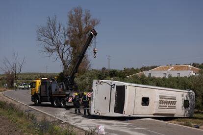 Los servicios de emergencias trabajan en el lugar dónde ha volcado un autobús que trasladaba a quince personas a sus puestos de trabajo esta mañana en la localidad sevillana de Pedrera.