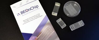 Chips que produce la empresa zaragozana BEOnChip, ganadora del premio de innovación en la categoría de proyecto vinculado a la universidad.
