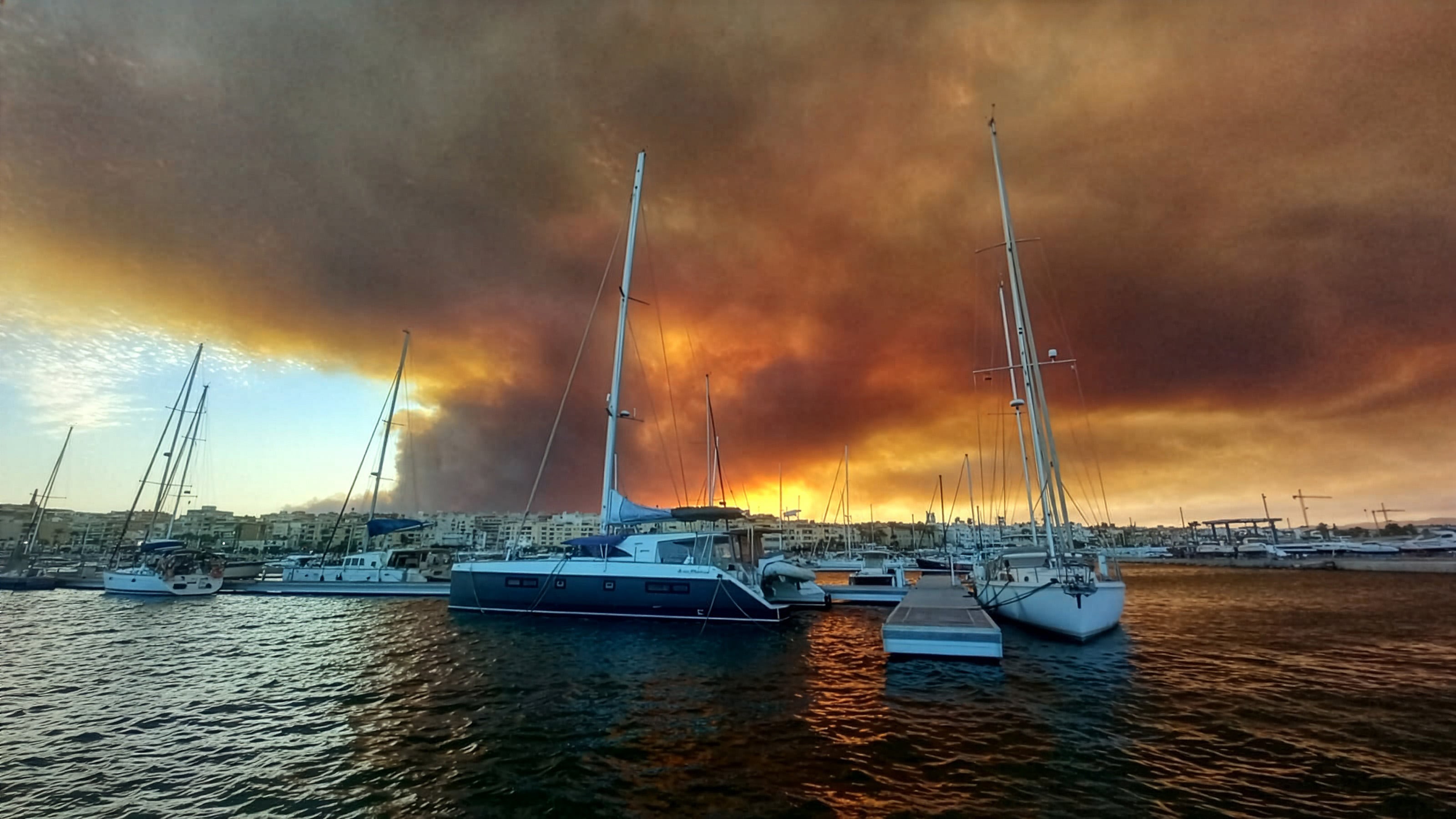 Últimas noticias del incendio forestal de Los Gallardos (Almería), en directo | Al menos 11 muertos y 23 desaparecidos en el incendio más trágico registrado en Andalucía