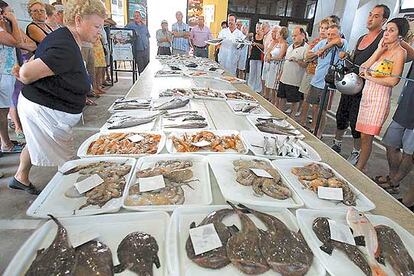 Bandejas ligeras, que se dirigen al consumo doméstico, en la subasta de pescado de El Campello (Alicante).