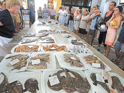 Bandejas ligeras, que se dirigen al consumo doméstico, en la subasta de pescado de El Campello (Alicante).