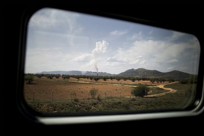 Paisaje de olivos antiguos y de nueva plantación a la salida de Ciudad Real.