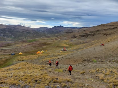 los restos del Yeutherium pressor -un pedacito del cráneo y un diente– fueron localizados en el Valle del Río de Las Chinas, cerca del parque nacional Torres del Paine, en la región de Magallanes y de la Antártica chilena.