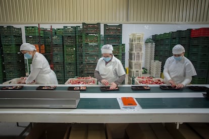 Fábrica de mantecados 'El Santo', en la localidad sevillana de Estepa.