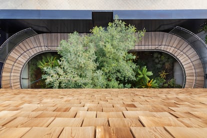 Vista del sótano desde la azotea de la casa, donde se sitúa un jardín de cactus. La casa es un proyecto de los arquitectos María Langarita y Víctor Navarro.