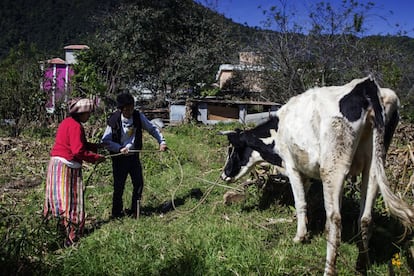 En Xesampual, las mujeres deben afrontar la vida diaria en soledad. Muchos hombres se han visto forzados a emigrar a otras regiones del país o Estados Unidos para poder ganar un sustento con el cual mantener a sus familias.