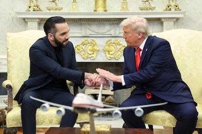 Donald Trump, Nayib Bukele