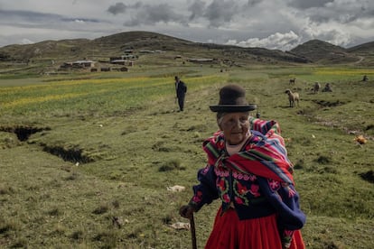 “Ahora los campesinos las están intercambiando entre ellos [las semillas de quinoa] y volvieron a consumirla: es una valiente alternativa para la seguridad y la soberanía alimentaria”, asegura el facilitador del proyecto en Puno-Acora, Celedonio Campaza Baca. En la imagen, una mujer en el centro del poblado de Copaquira.