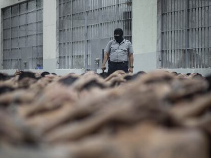 Detenidos en el interior del Centro de Confinamiento del Terrorismo (CECOT).