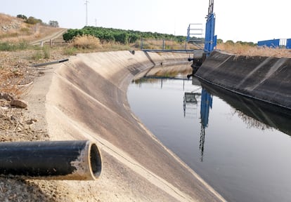 Canal del Viar, de donde se extrajo el agua durante una década. 