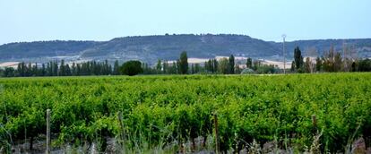 Bodegas Matarromera en Ribera del Duero.