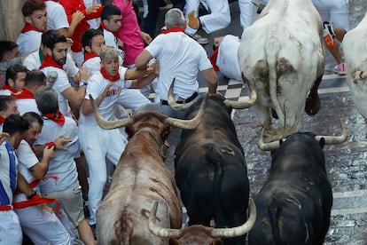 Los mozos tratan de zafarse de los toros de la ganadería gaditana de La Palmosilla durante el séptimo encierro de los Sanfermines 2025 este domingo en Pamplona.
