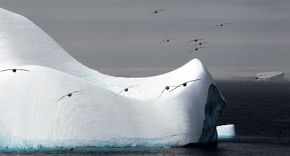 Un iceberg en la Antártida.