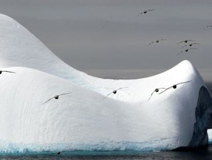 Un iceberg en la Ant&aacute;rtida.