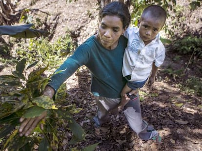 Uma mulher e seu filho com uma planta atingida.